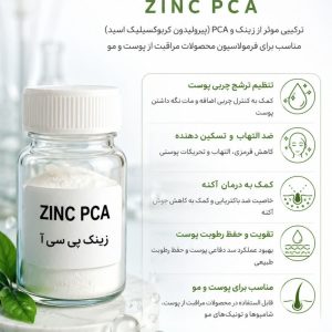 زینک پی سی آ